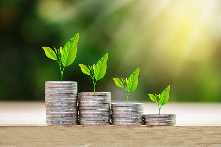 Zfg Bosna Yatirim Fonu Jpg 115 (4)