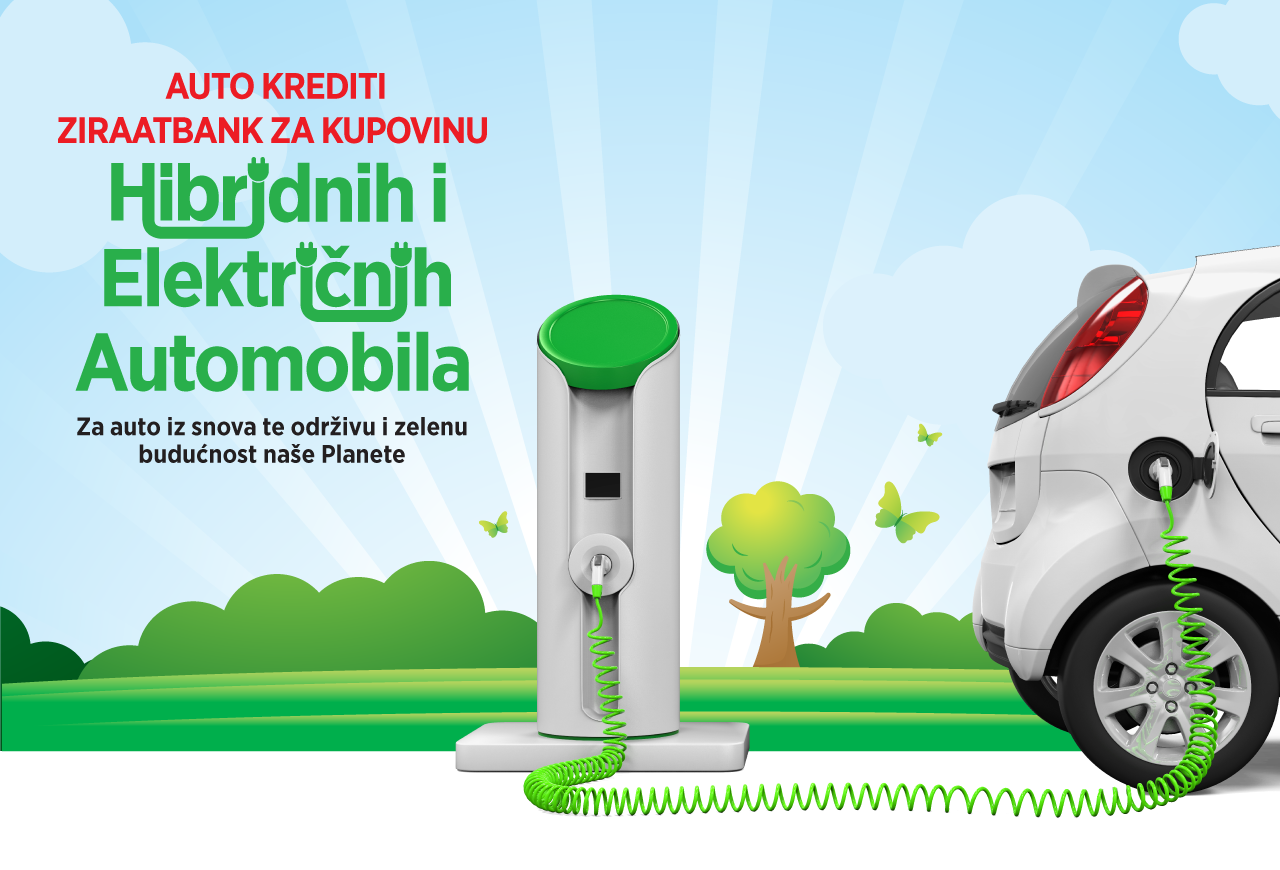 ZFG BOSNA Green Car Loan Png 264