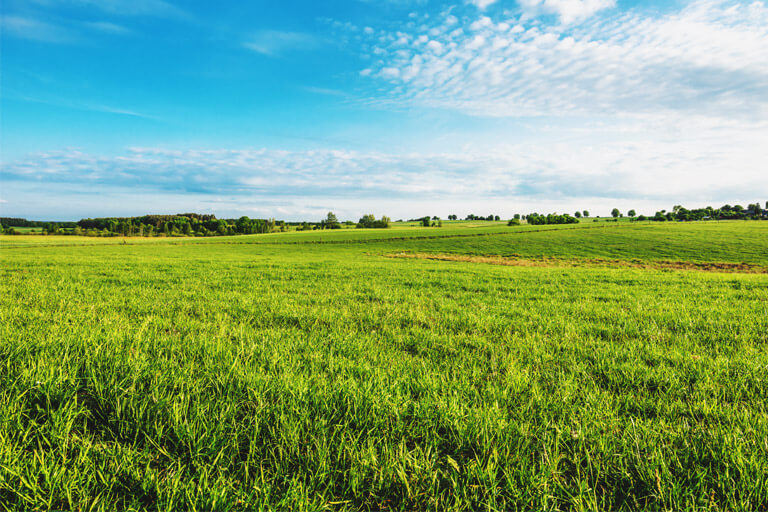 ZFG BOSNA 08 Tarimsal Krediler Jpg 481