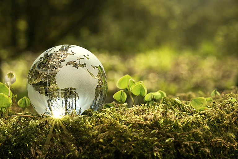 ZFG BOSNA Surdurulebilirlik Jpg 99